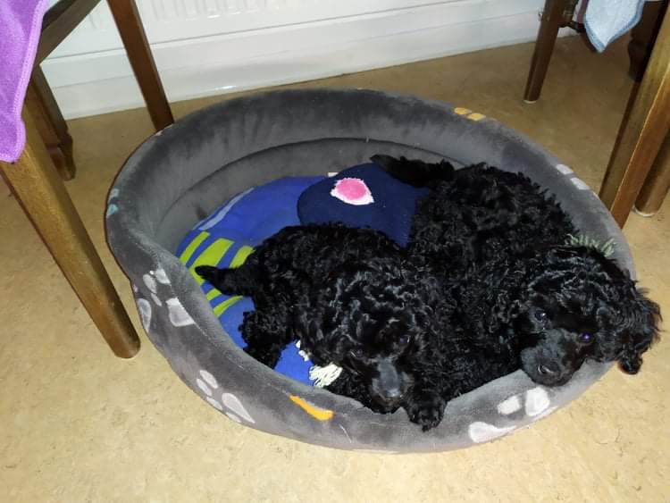 received_2602865526642788